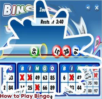 Bingo online play