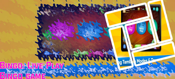 Liveplay bingo