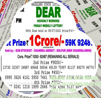 Today dear lottery result
